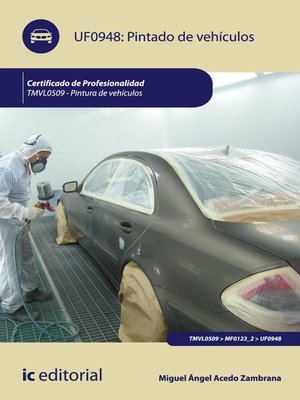 cover image of Pintado de vehículos. TMVL0509